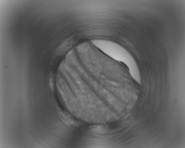 X0000066930074200604142008