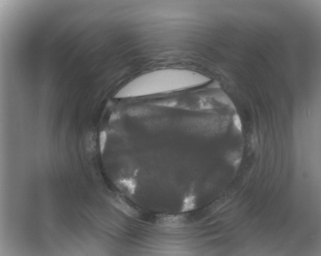 X0000066930081200604142009