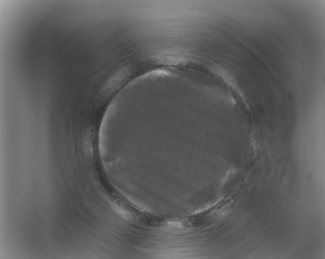 X0000066930114200604142008