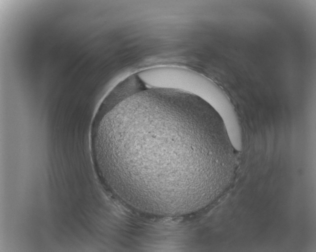 X0000066930148200604142006
