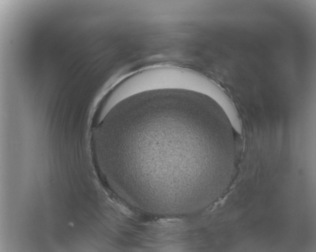 X0000066930150200604142007