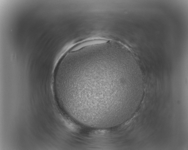 X0000066930152200604142007