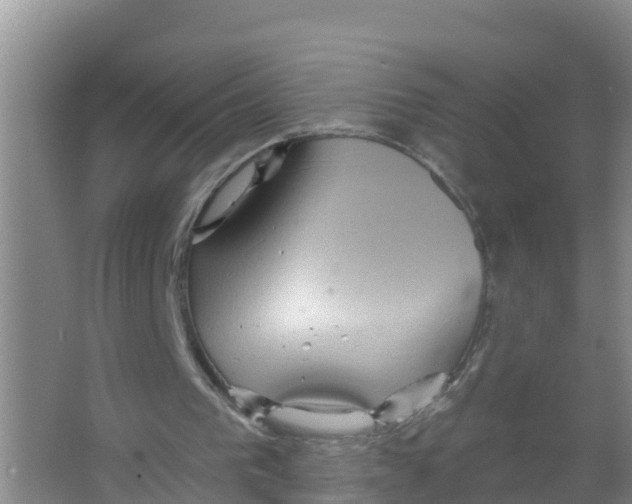 X0000066930193200604142006