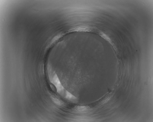 X0000066930205200604142006