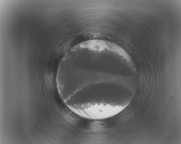 X0000066930222200604142006