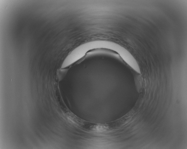 X0000066930223200604142006