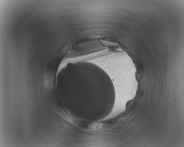 X0000066930227200604142006