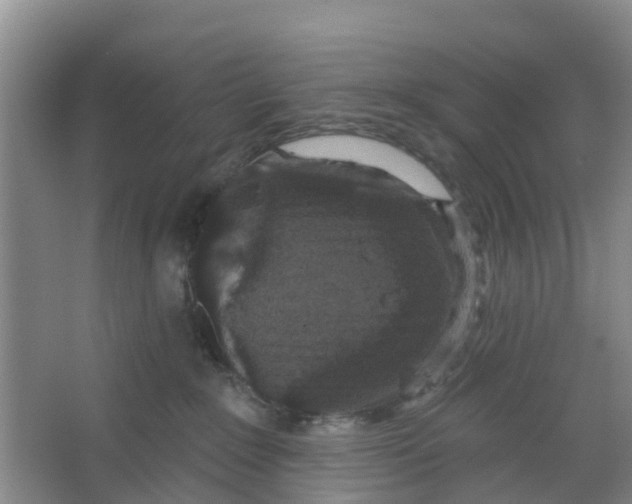 X0000066930235200604142006