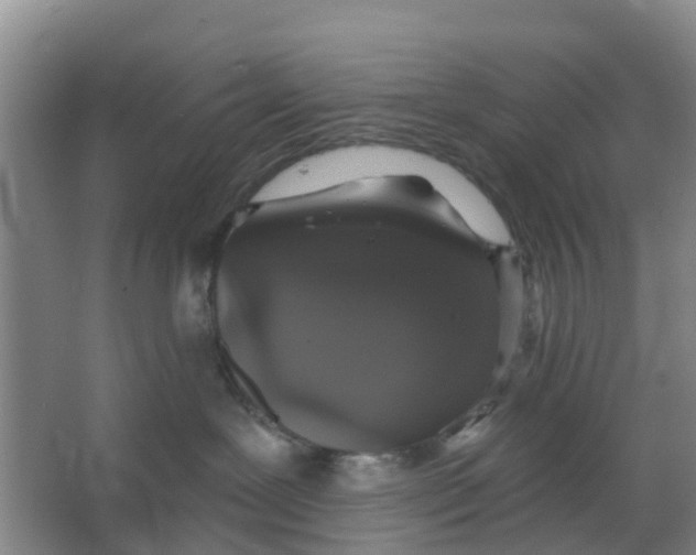 X0000066930239200604142006
