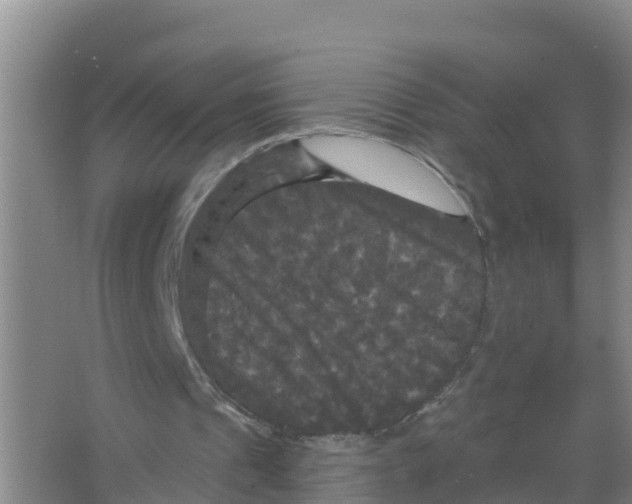 X0000066930241200604142005