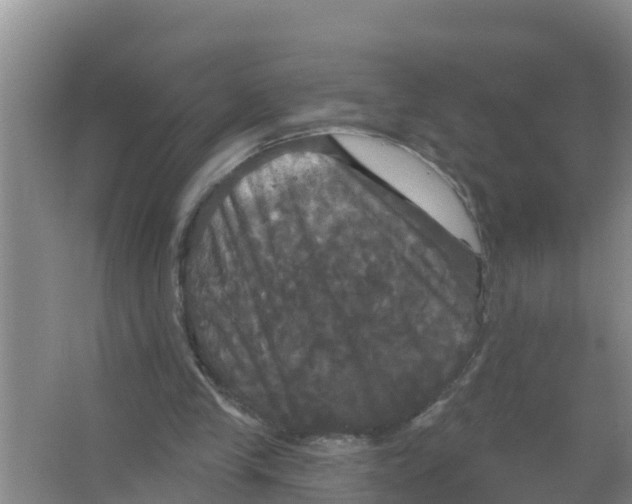 X0000066930245200604142005