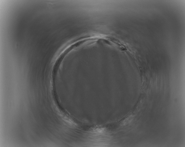 X0000066930247200604142005
