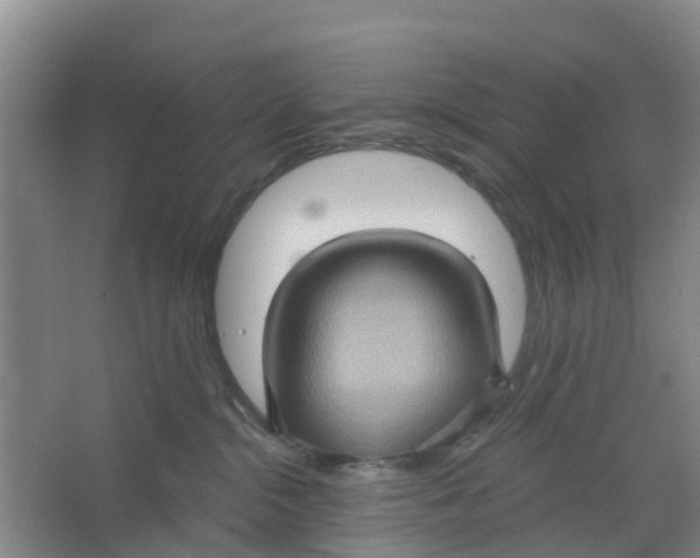 X0000066930284200604142006
