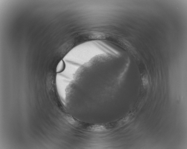 X0000066930322200604142004