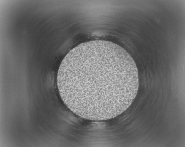 X0000066930328200604142004