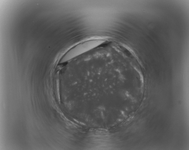 X0000066930337200604142003