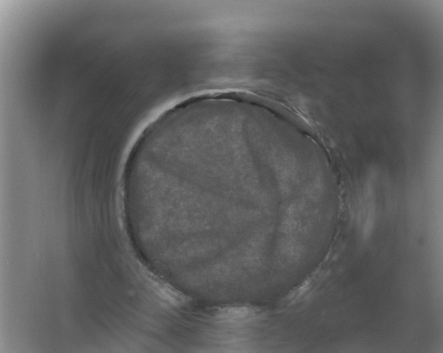 X0000066930342200604142003