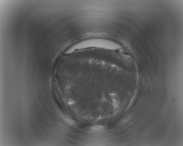 X0000066930357200604142004