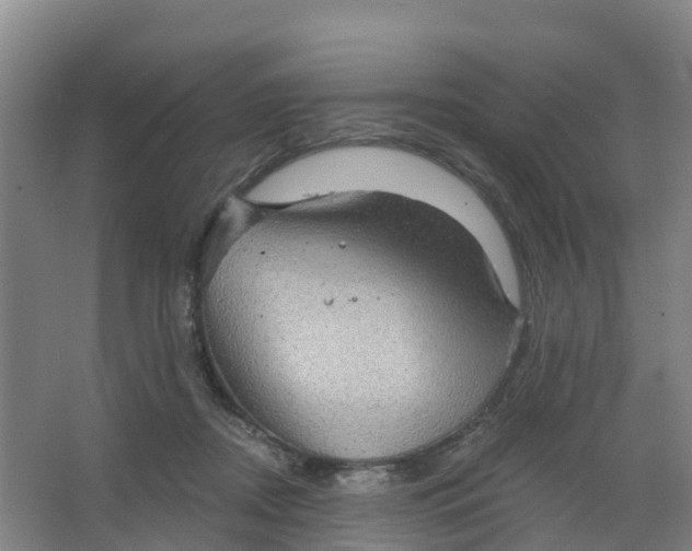 X0000066930362200604142004