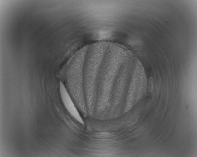 X0000066930380200604142004