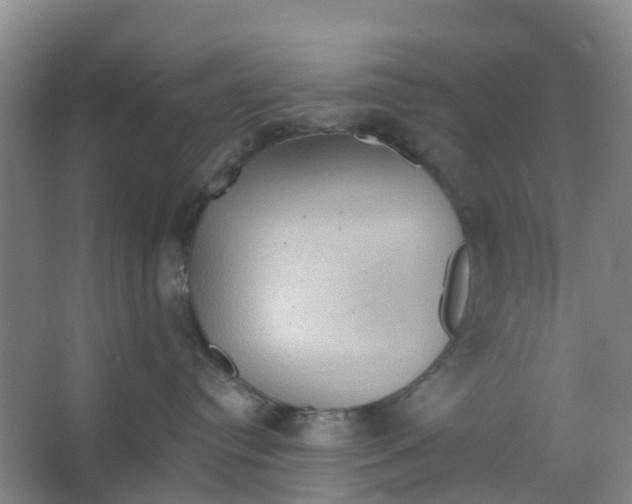X0000066930384200604142004