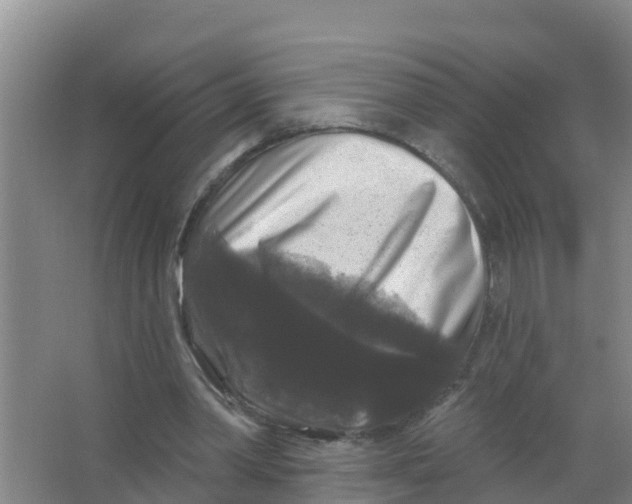 X0000066930390200604142003