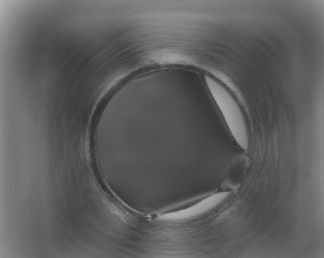 X0000066930391200604142003