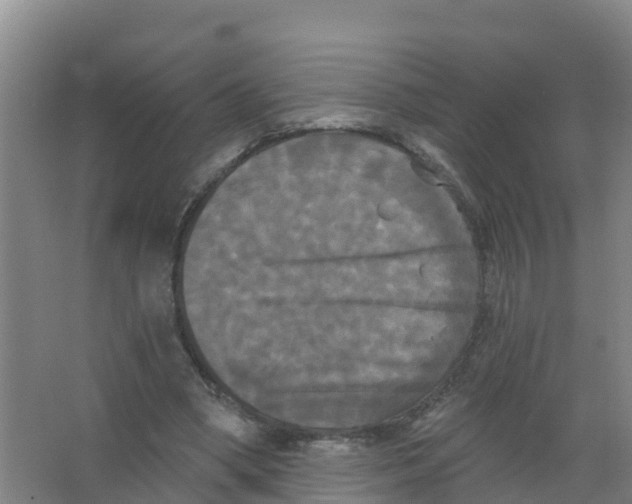 X0000066930394200604142003