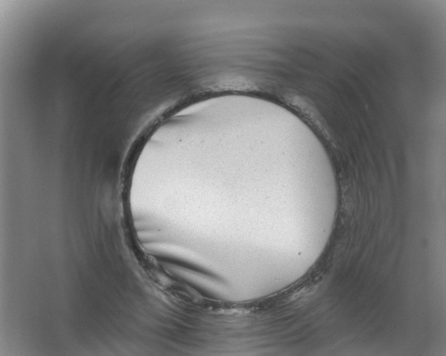 X0000066930395200604142003