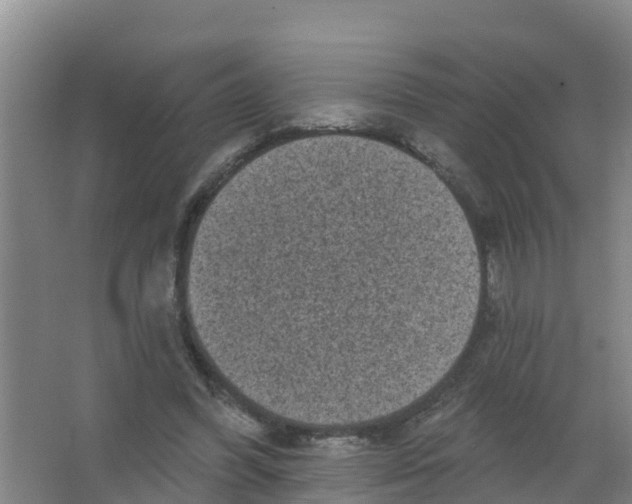 X0000066930396200604142003