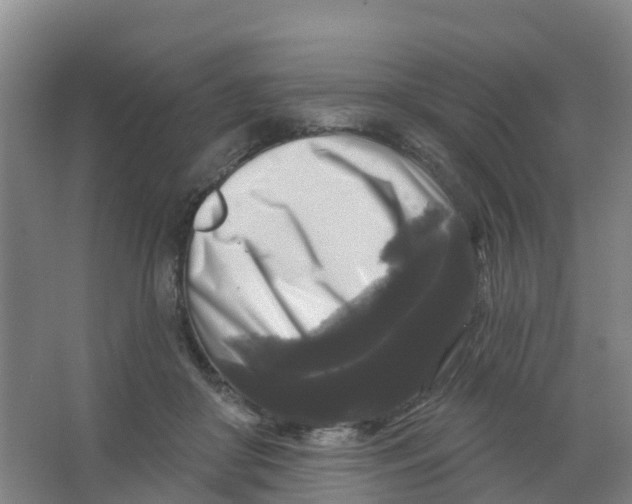 X0000066930410200604142003