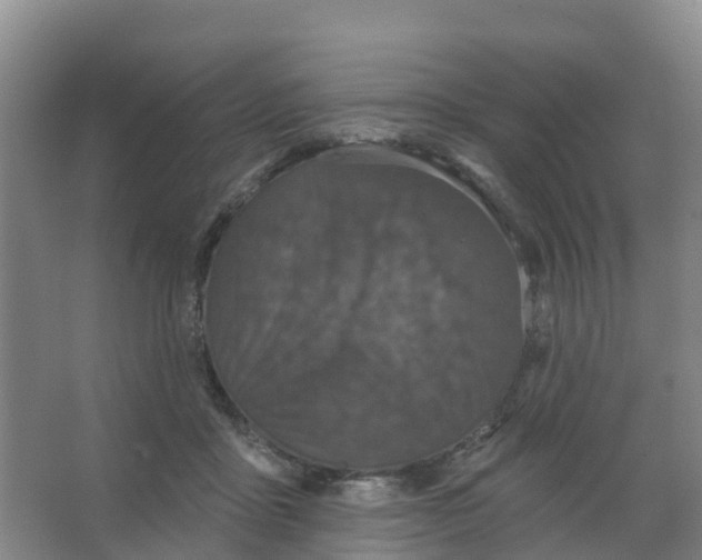 X0000066930411200604142003