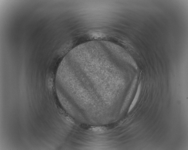 X0000066930417200604142003