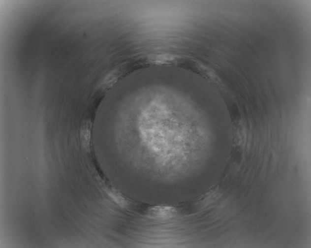 X0000066930427200604142002