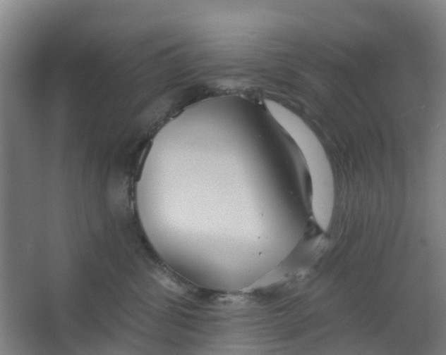 X0000066930428200604142002