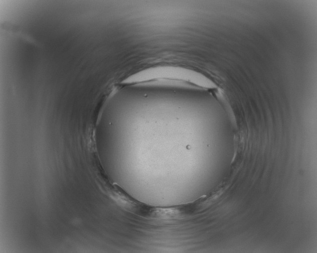 X0000066930429200604142002