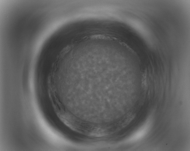 X0000066930431200604142002