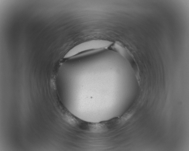 X0000066930432200604142002