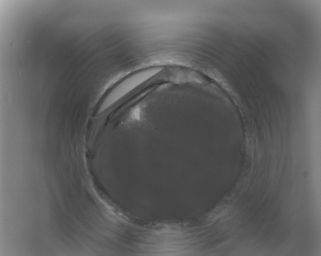 X0000066930434200604142002