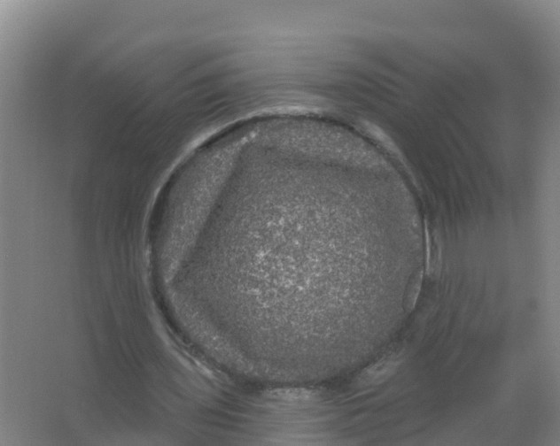 X0000066930435200604142002