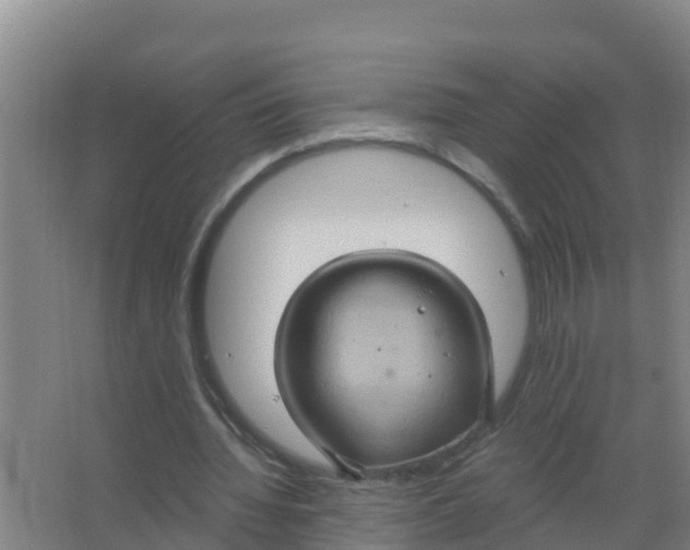 X0000066930436200604142002