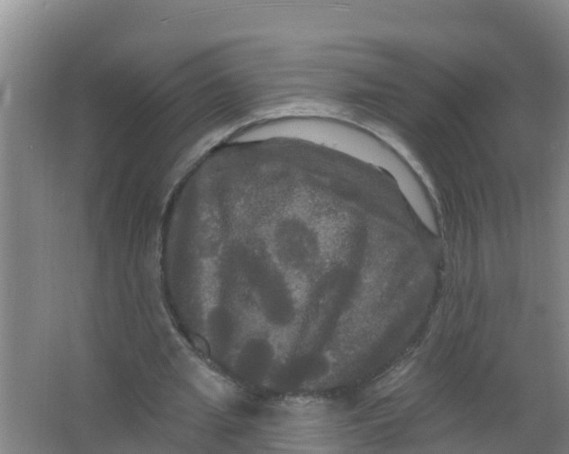 X0000066930437200604142002