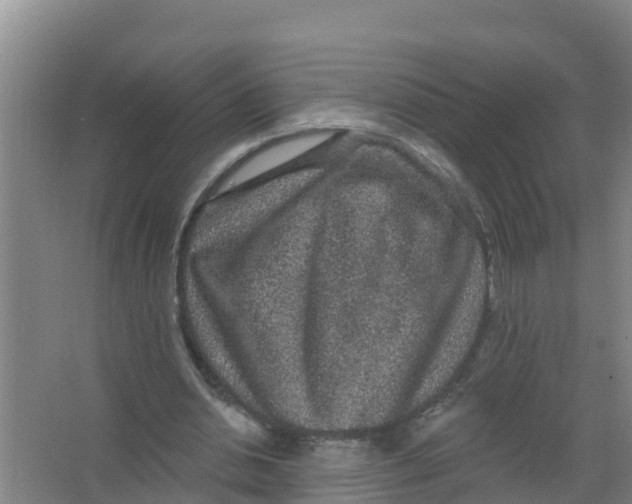 X0000066930438200604142002