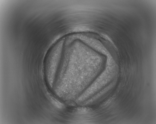 X0000066930439200604142002