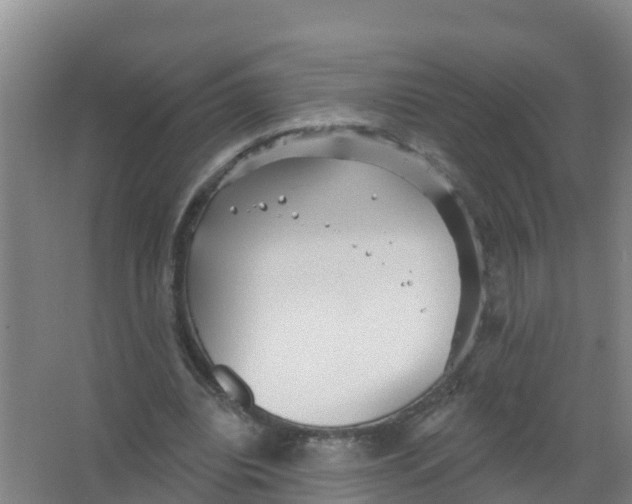 X0000066930440200604142002