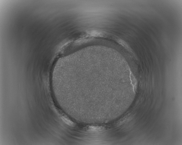 X0000066930442200604142002