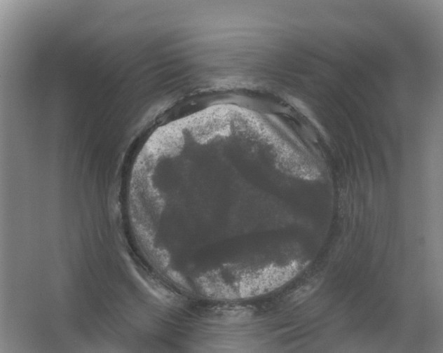 X0000066930443200604142002