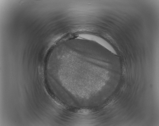 X0000066930444200604142002