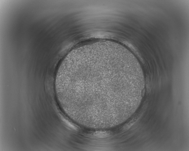 X0000066930445200604142002