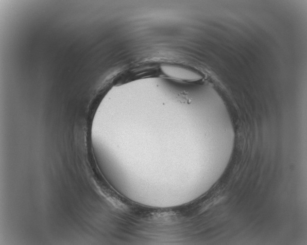 X0000066930446200604142002